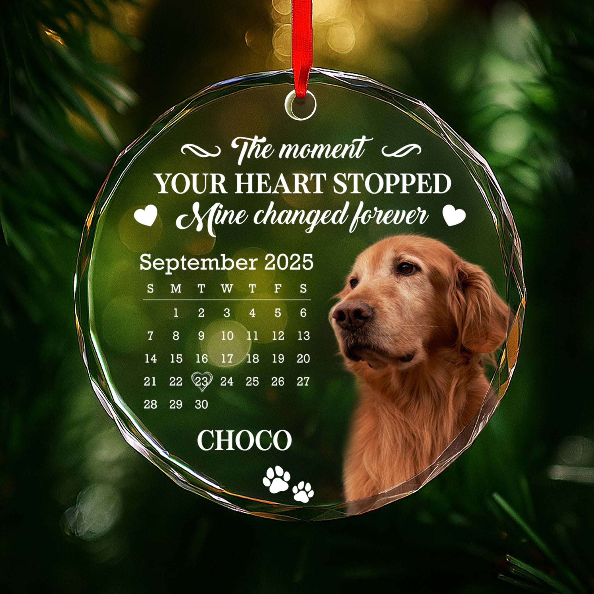 The Moment Your Heart Stopped, Featuring Dog And Calendar