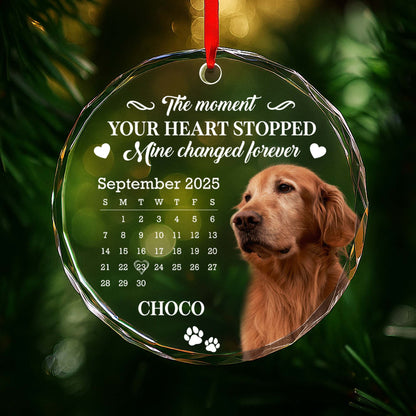 The Moment Your Heart Stopped, Featuring Dog And Calendar
