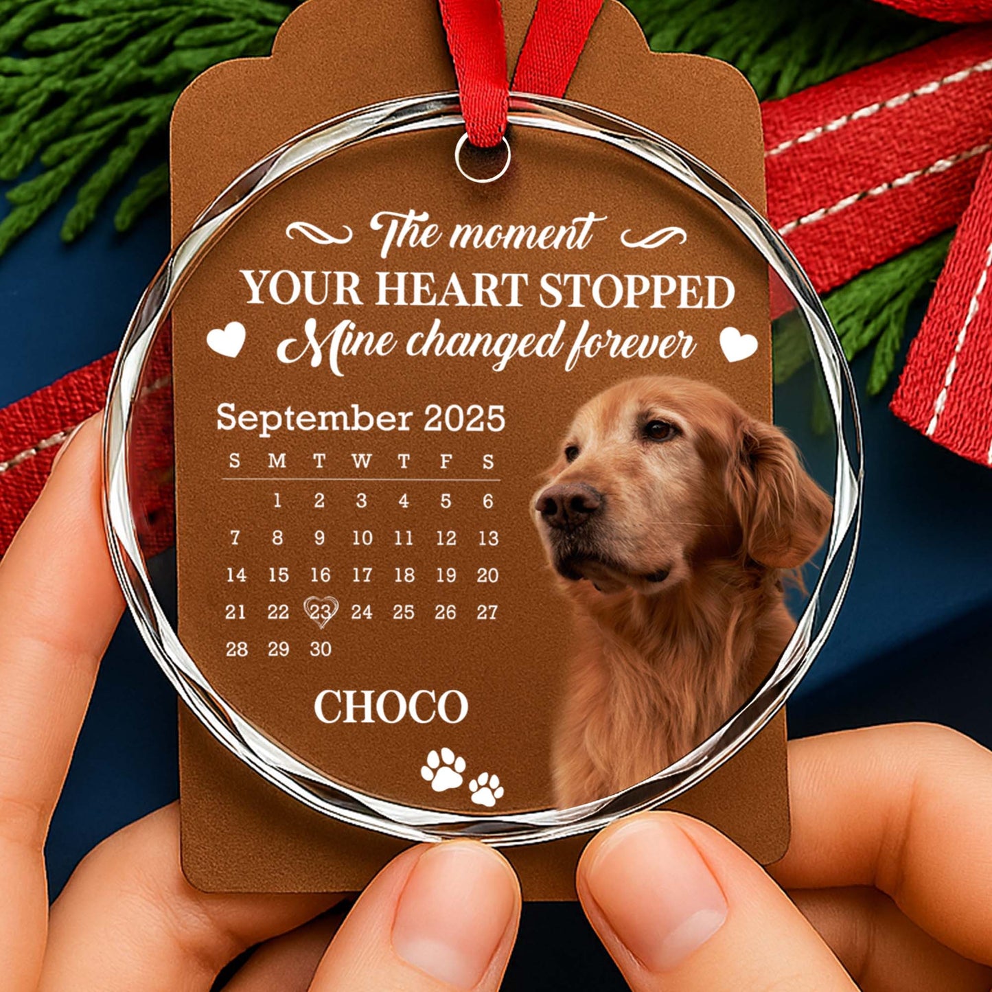 The Moment Your Heart Stopped, Featuring Dog And Calendar