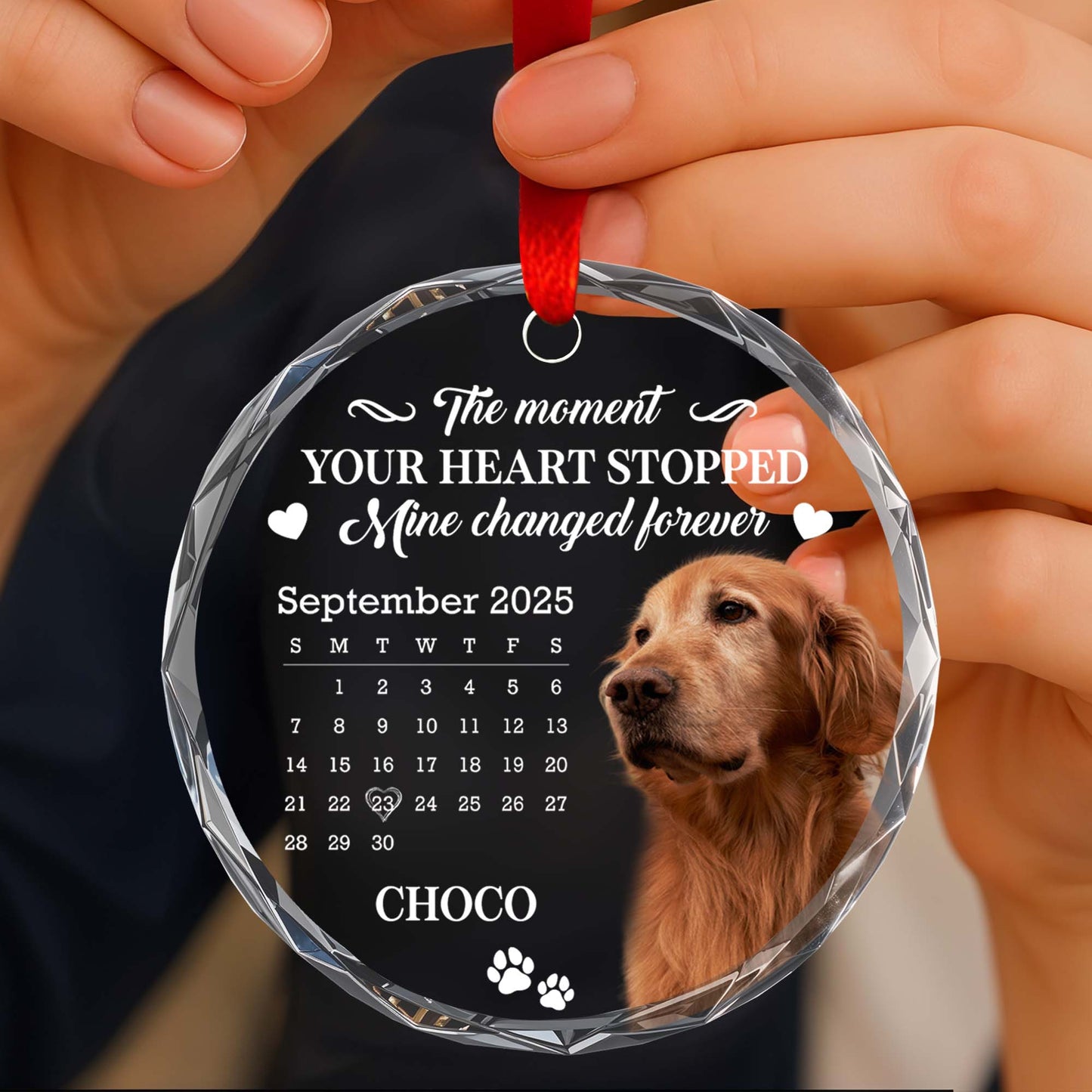 The Moment Your Heart Stopped, Featuring Dog And Calendar