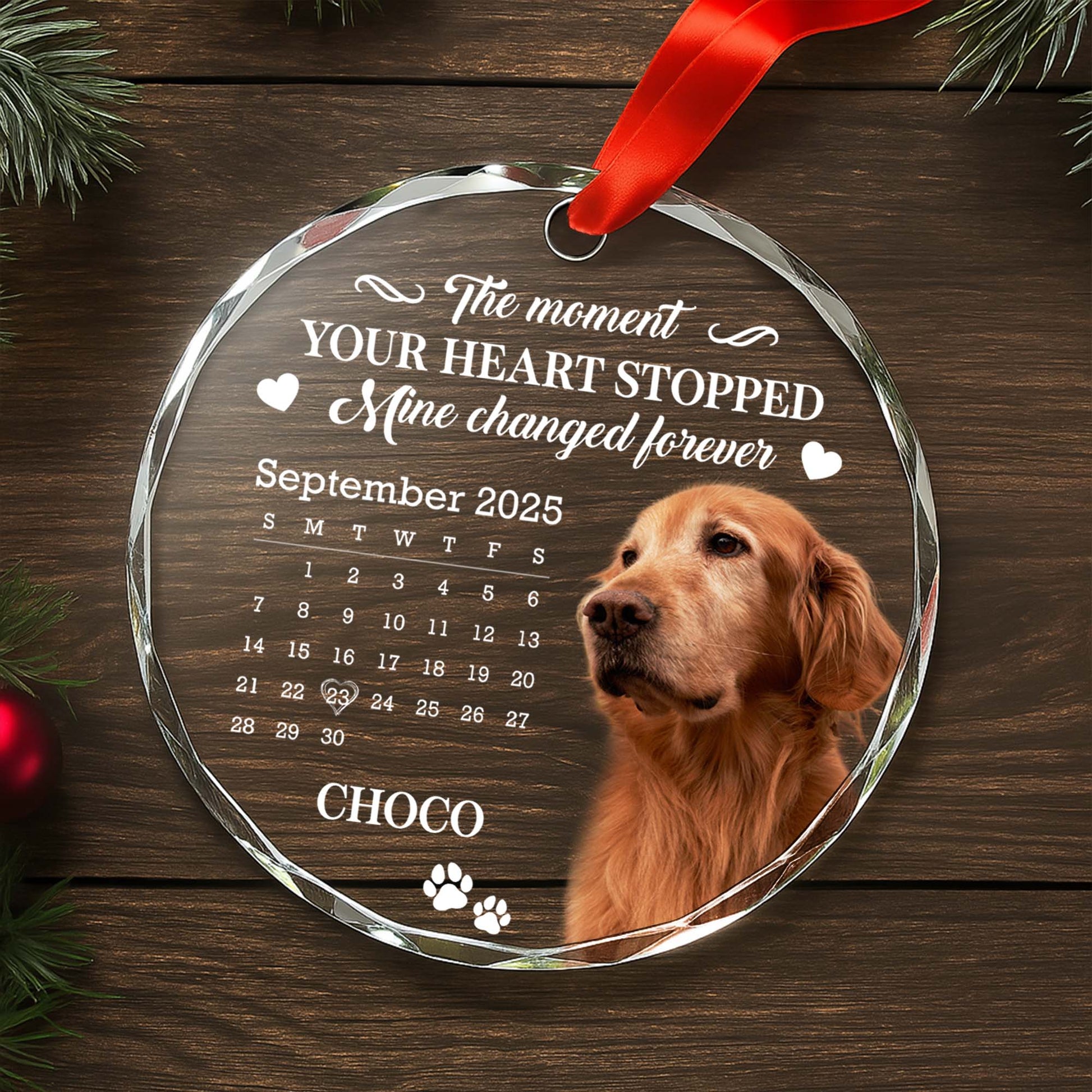 The Moment Your Heart Stopped, Featuring Dog And Calendar