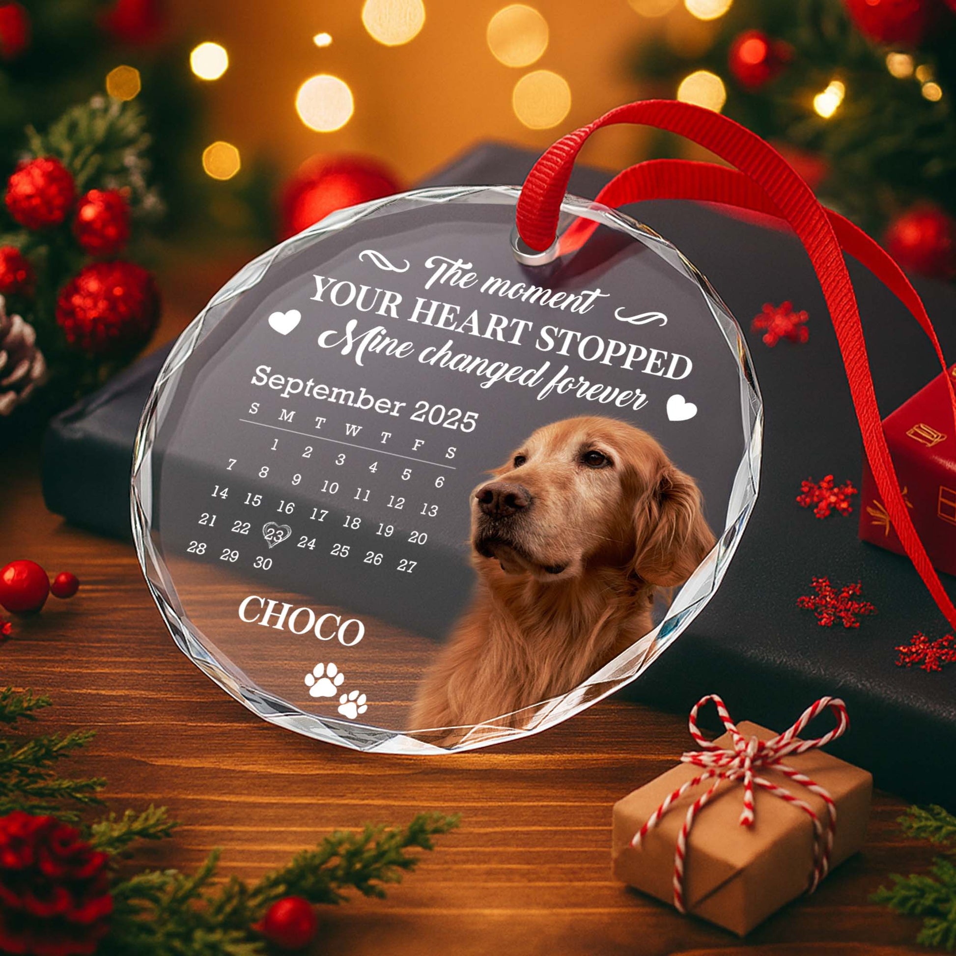 The Moment Your Heart Stopped, Featuring Dog And Calendar