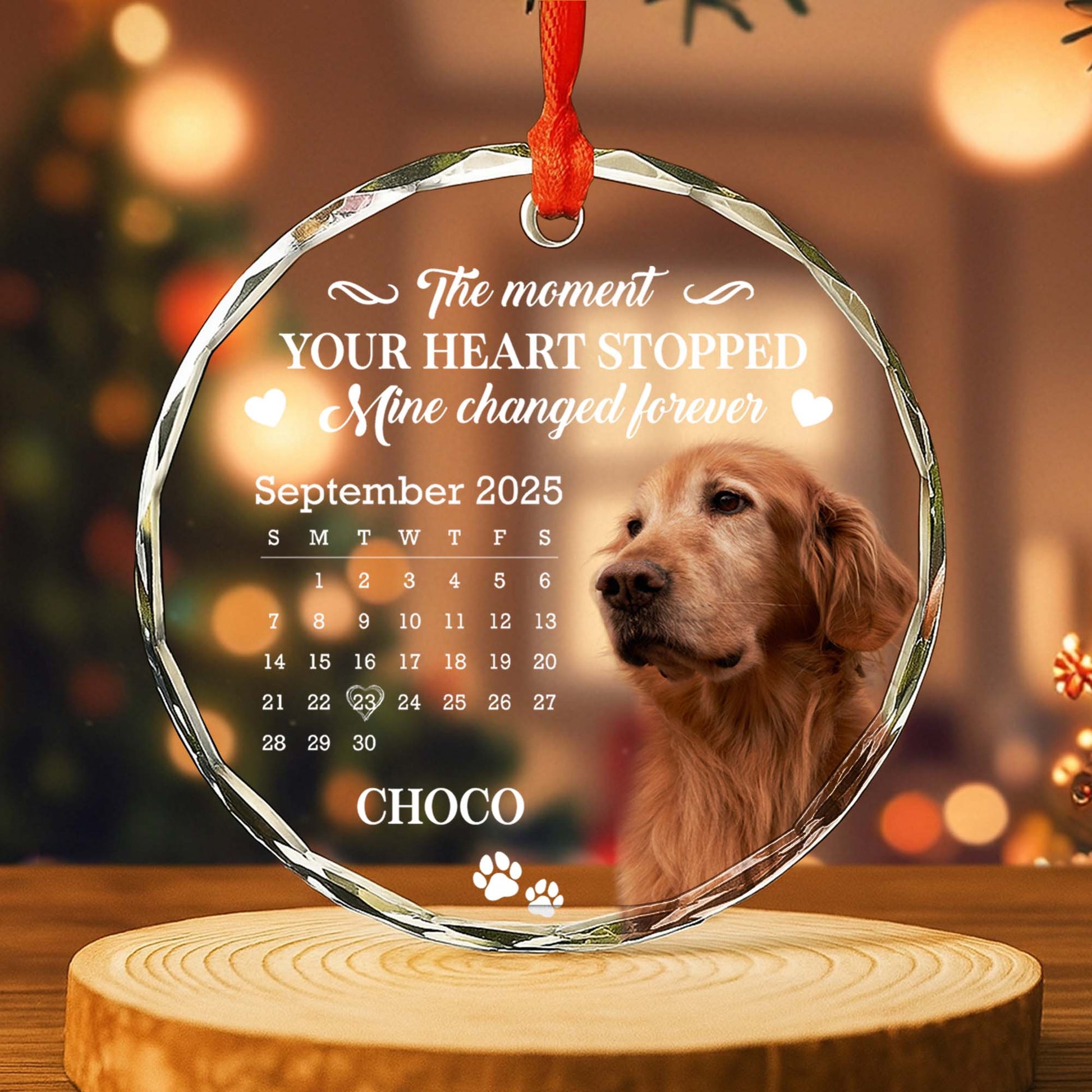 The Moment Your Heart Stopped, Featuring Dog And Calendar