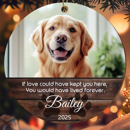 If Love Could Have Kept You Here, Tribute To Beloved Dog