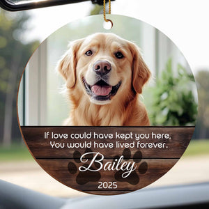 If Love Could Have Kept You Here, Tribute To Beloved Dog