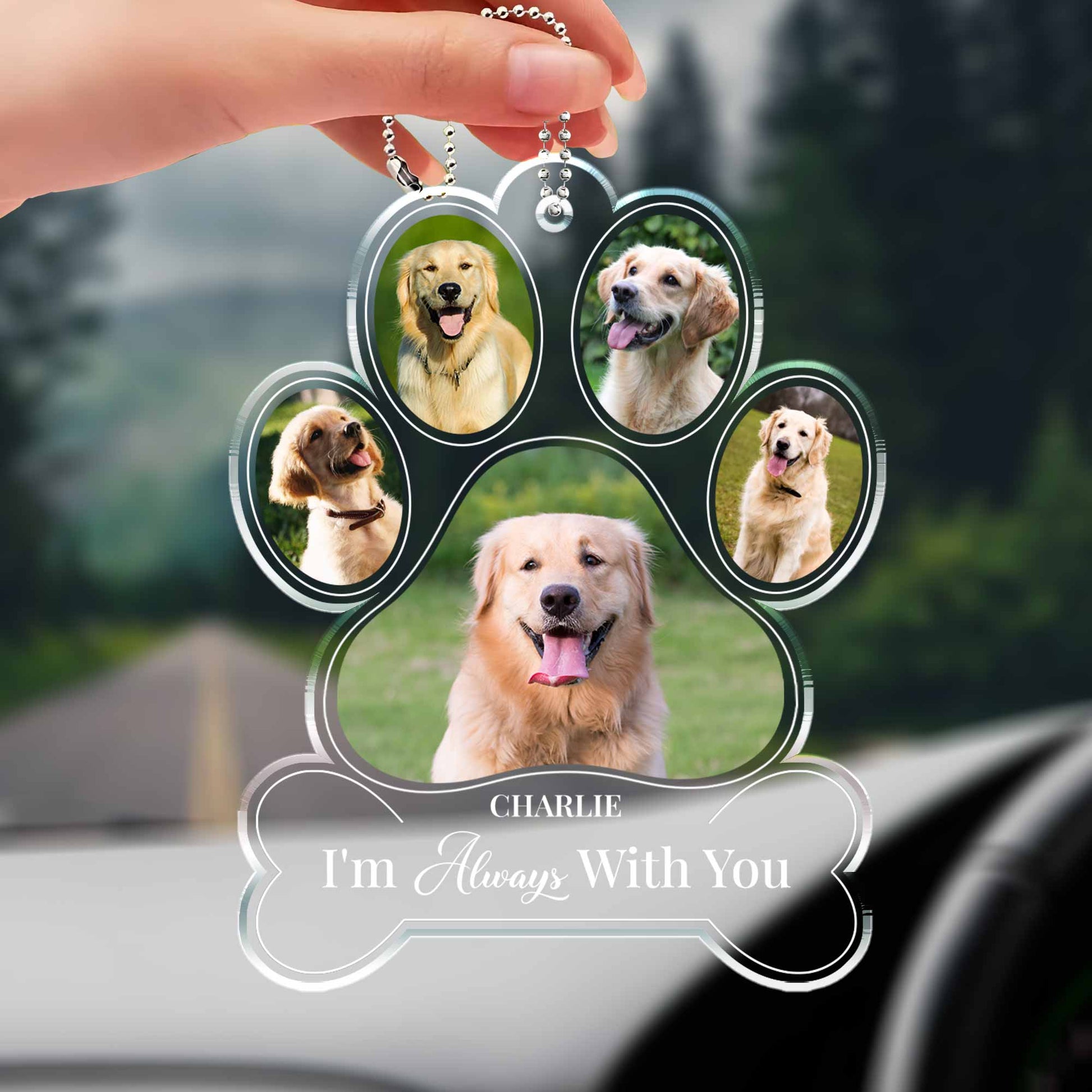 I'm Always With You, Paw Prints And Dogs Design