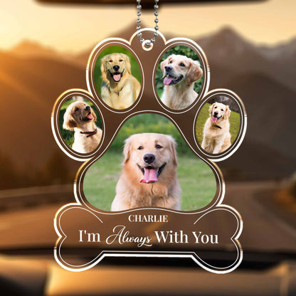 I'm Always With You, Paw Prints And Dogs Design