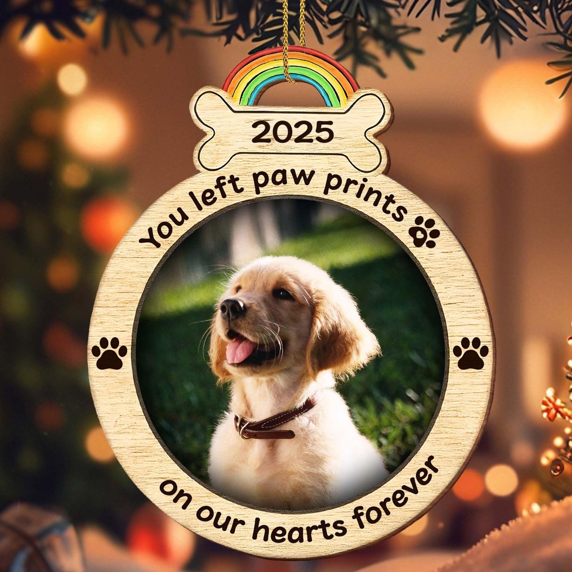 You Left Paw Prints On Our Hearts Forever With Rainbow