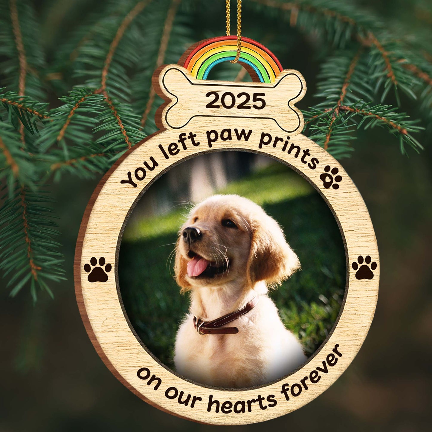 You Left Paw Prints On Our Hearts Forever With Rainbow