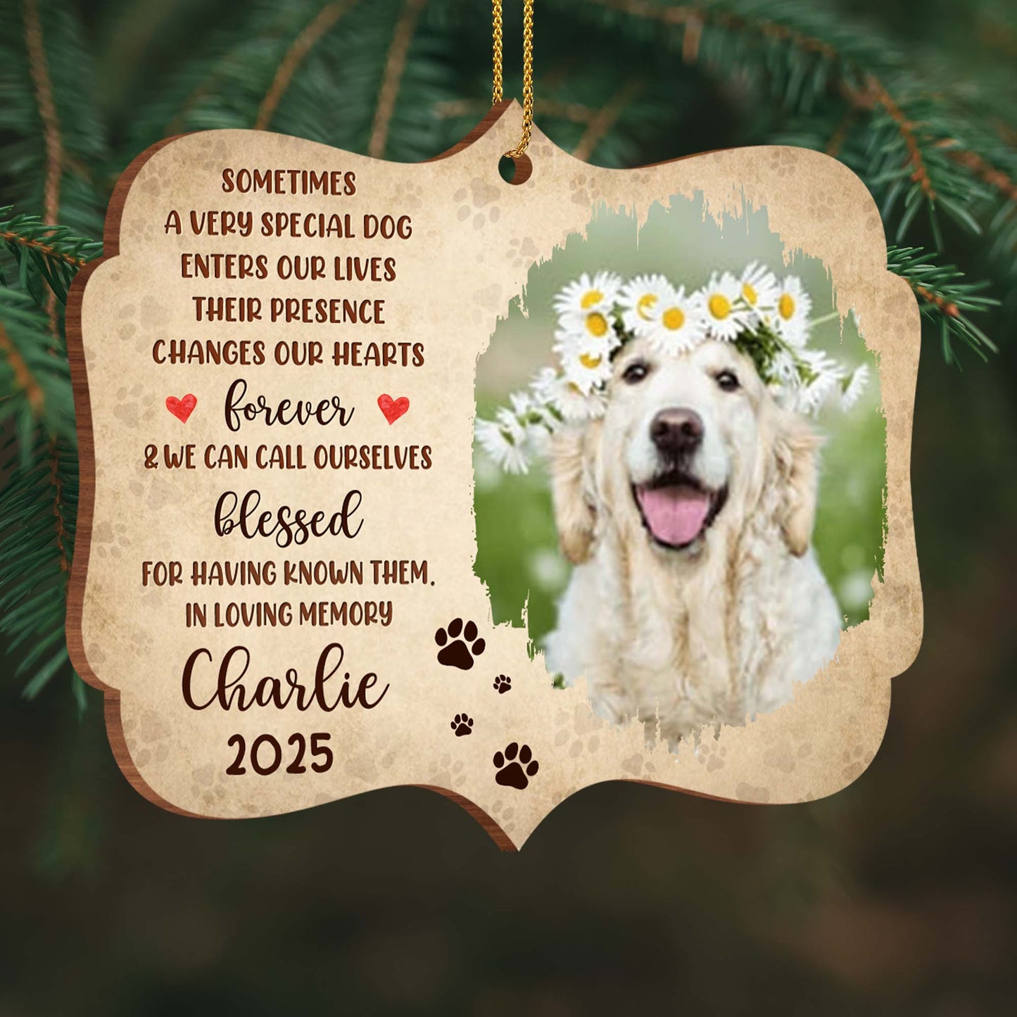 Sometimes A Very Special Dog Enters Our Lives, Memorial Ornament