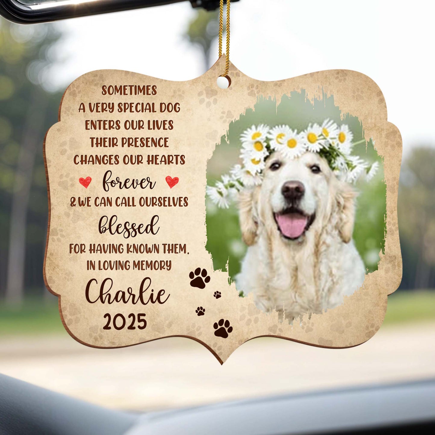 Sometimes A Very Special Dog Enters Our Lives, Memorial Ornament