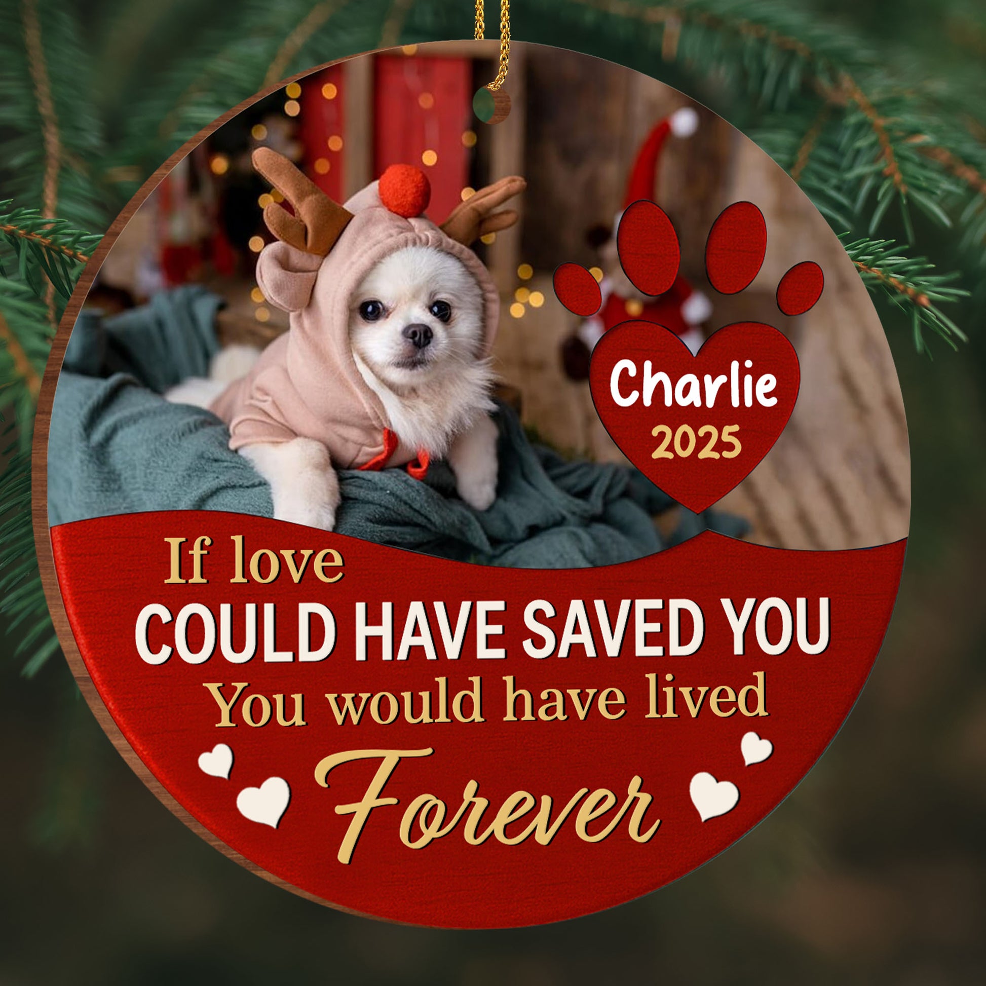 If Love Could Have Saved You, Forever Remembered