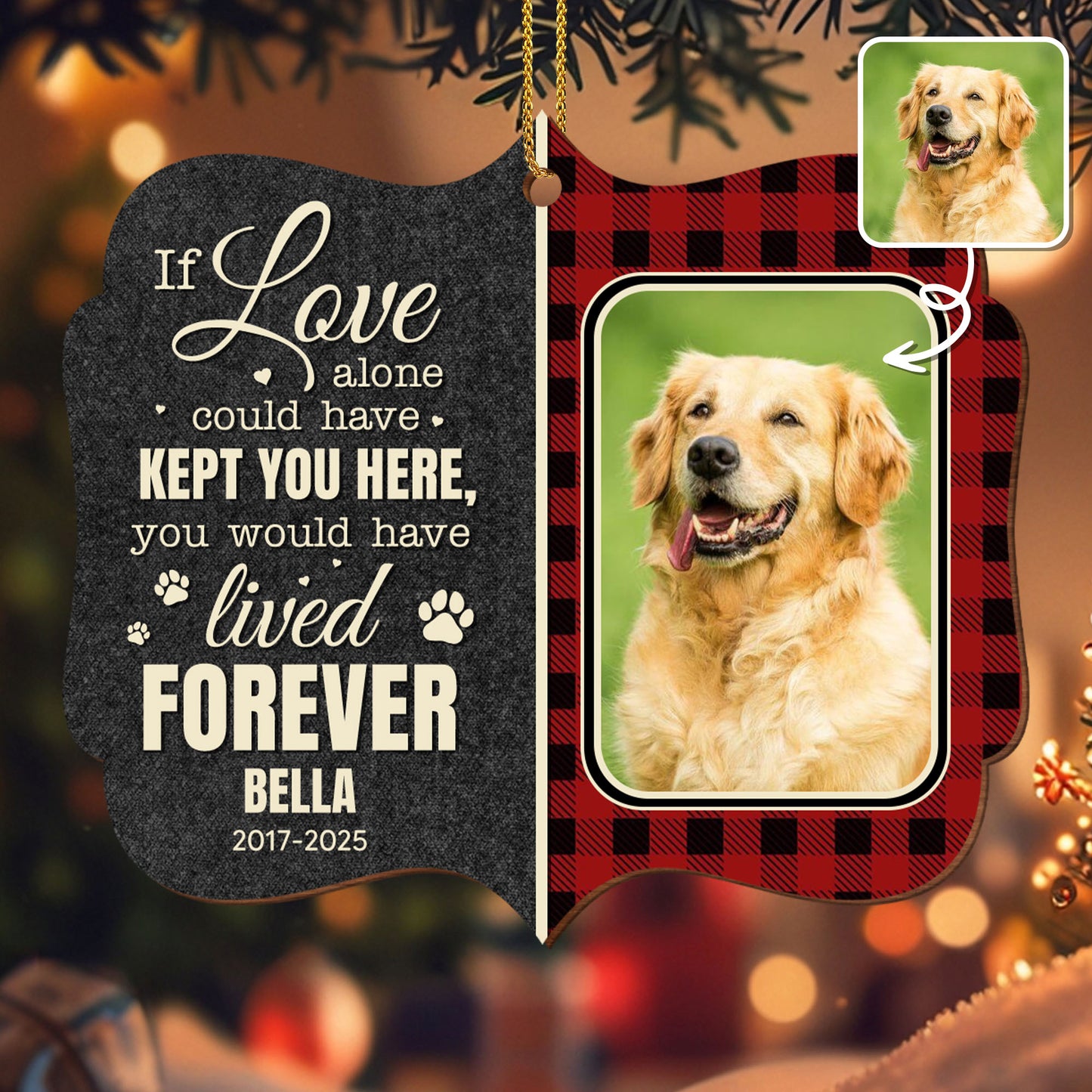 If Love Alone Could Have Kept You Here, Paws