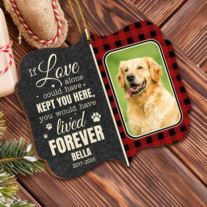 If Love Alone Could Have Kept You Here, Paws