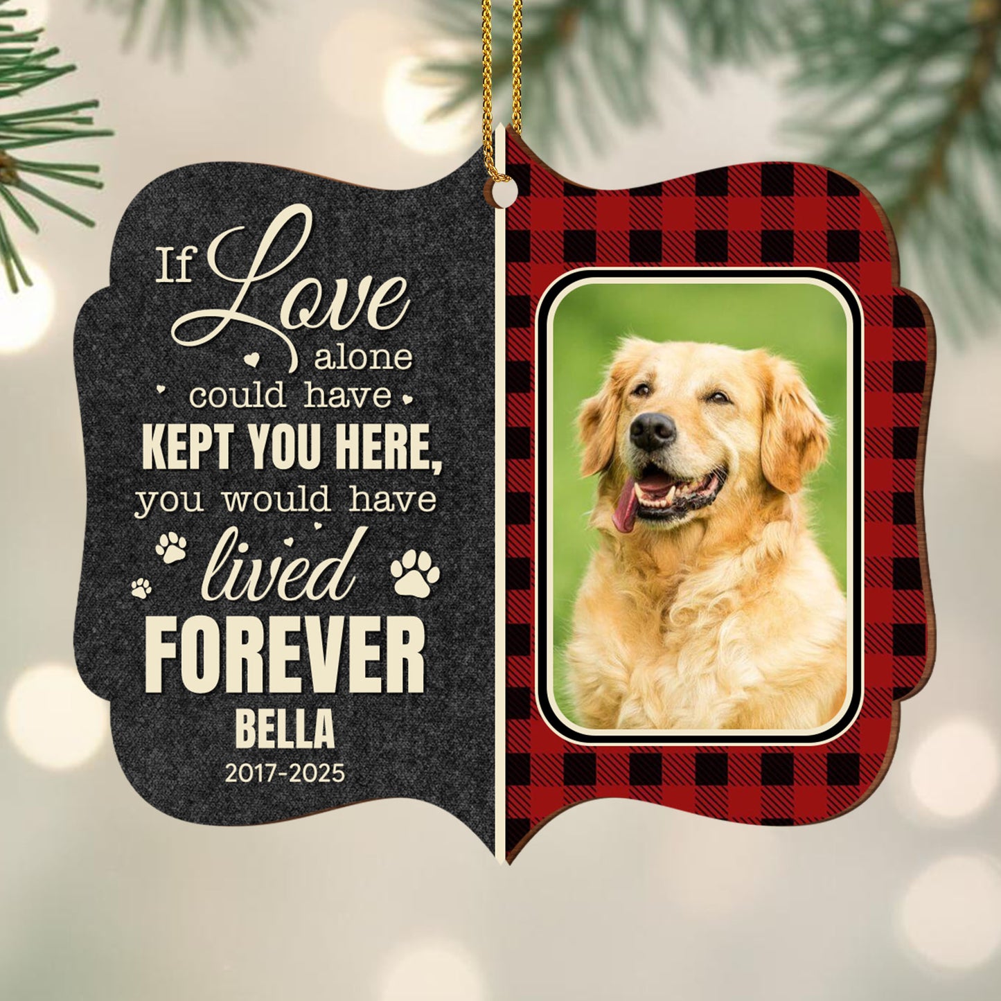 If Love Alone Could Have Kept You Here, Paws