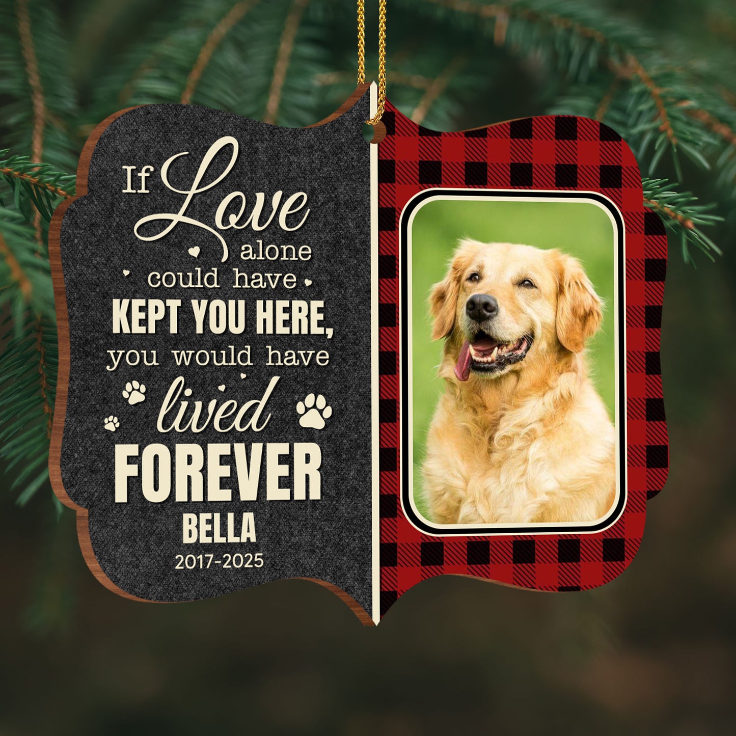 If Love Alone Could Have Kept You Here, Paws