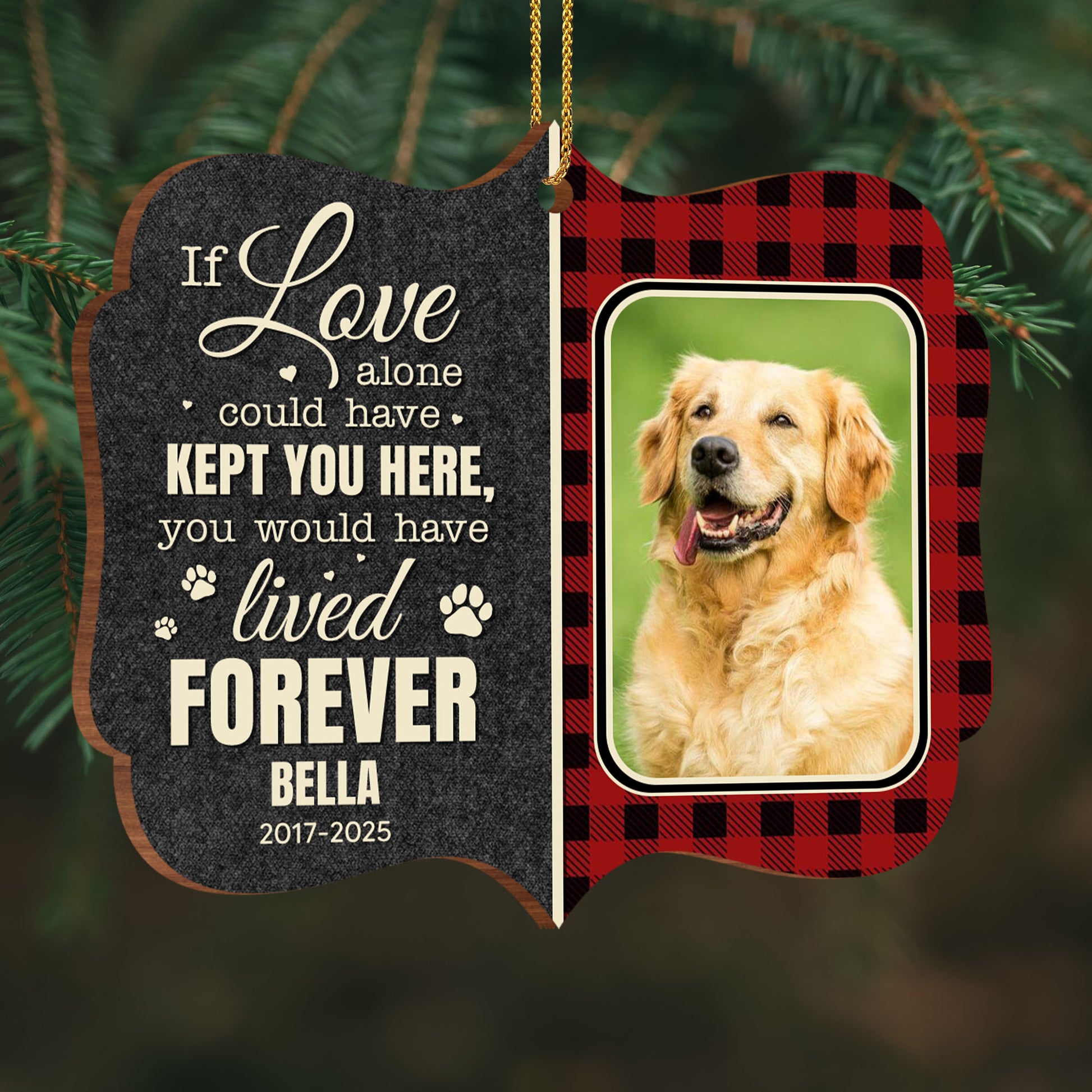 If Love Alone Could Have Kept You Here, Paws