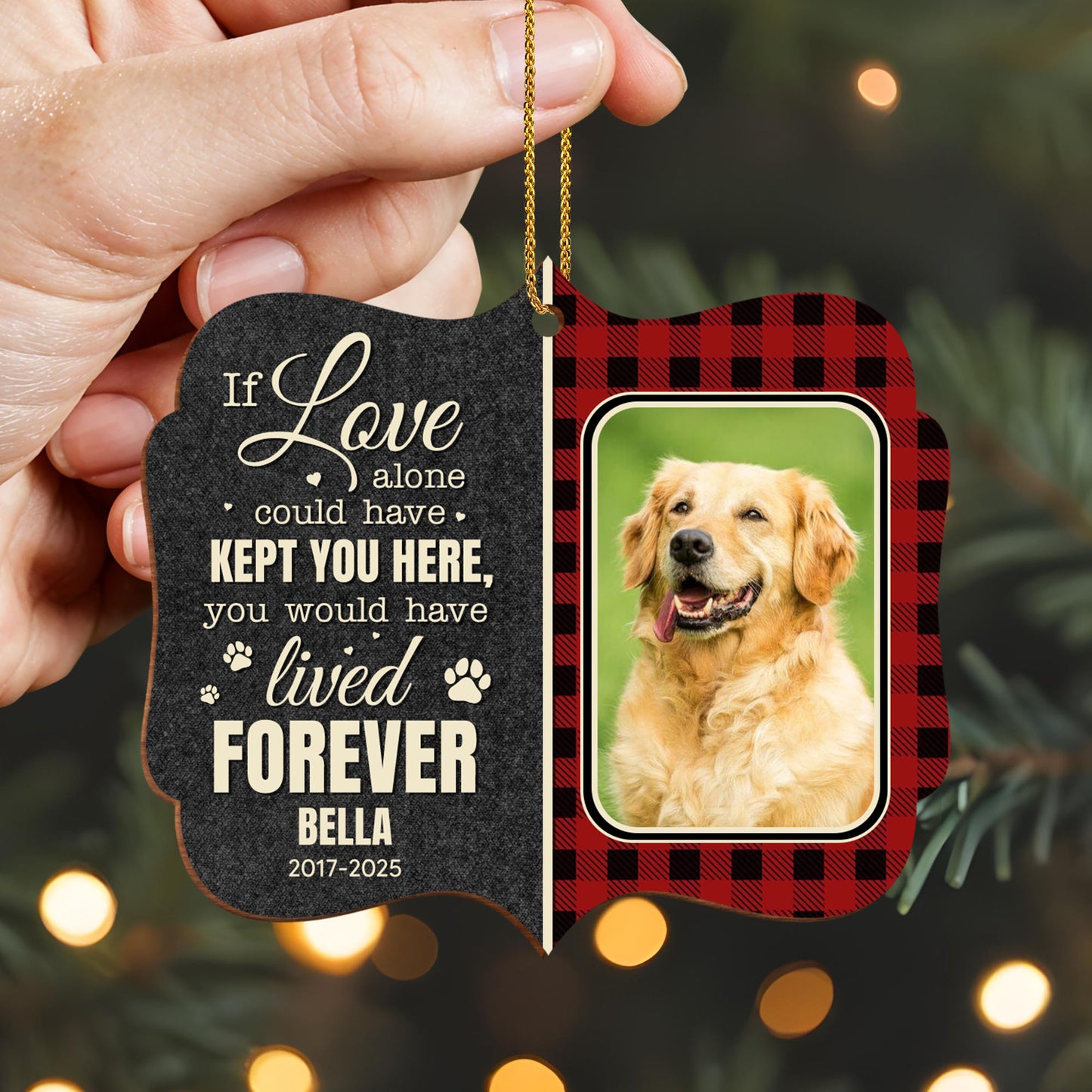 If Love Alone Could Have Kept You Here, Paws