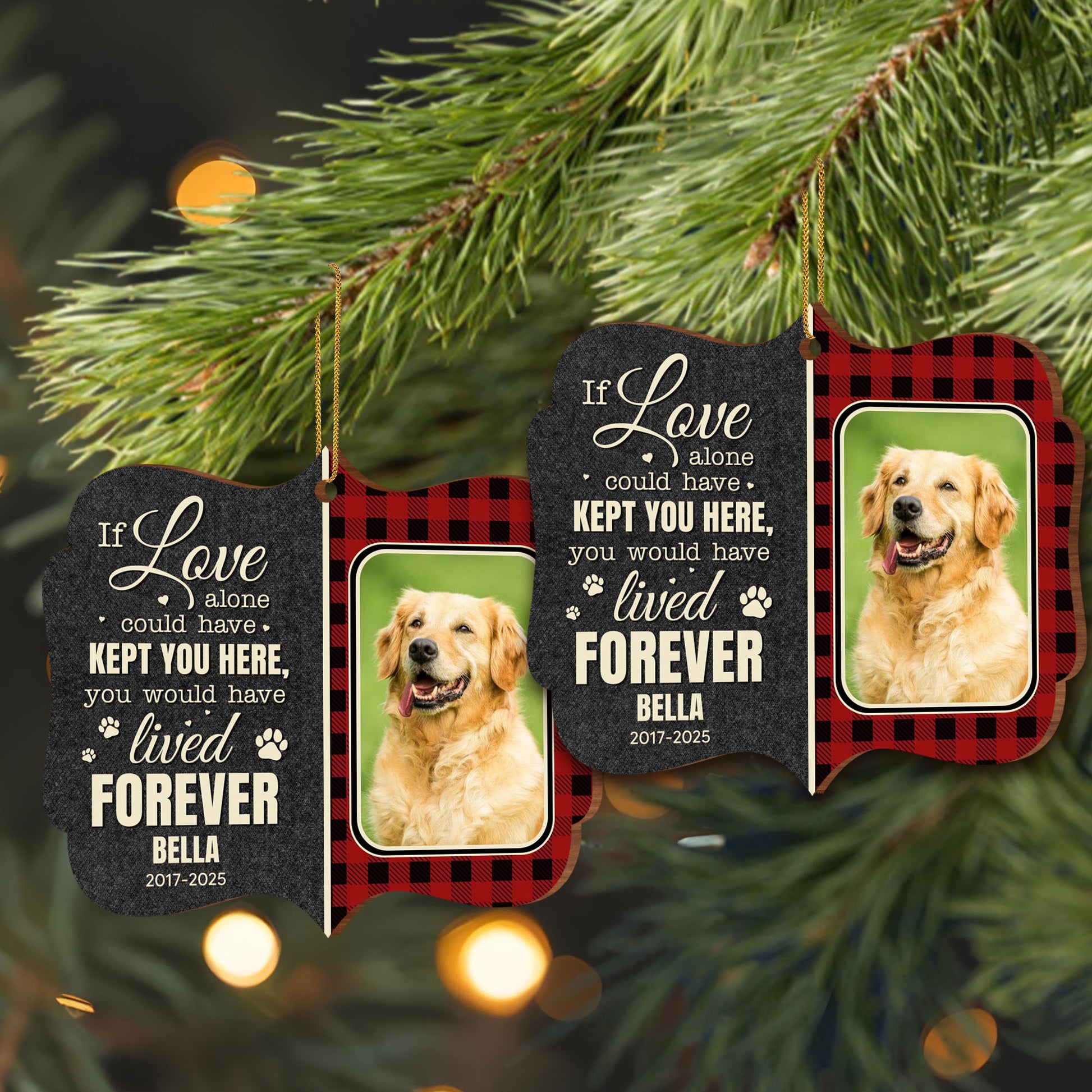 If Love Alone Could Have Kept You Here, Paws