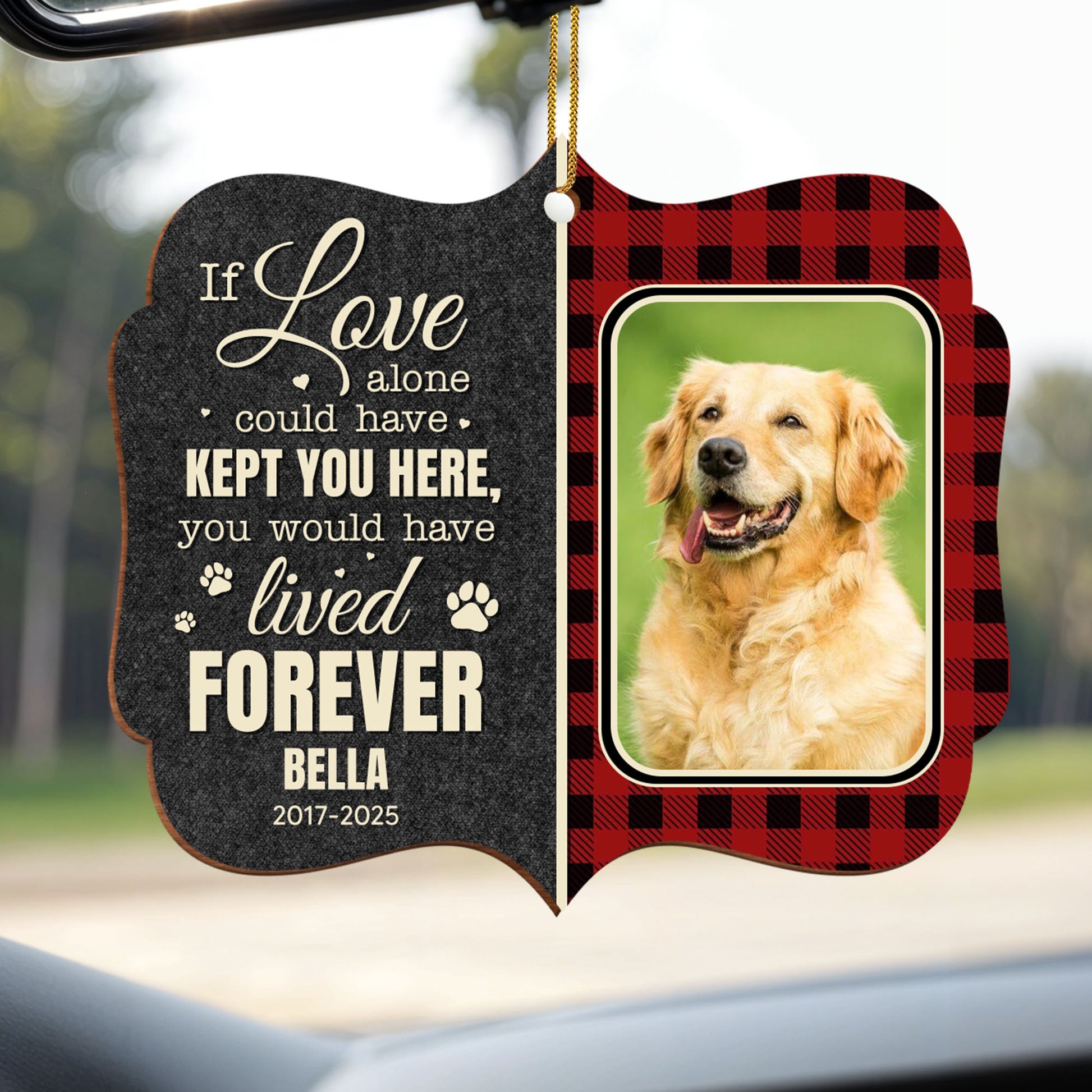 If Love Alone Could Have Kept You Here, Paws