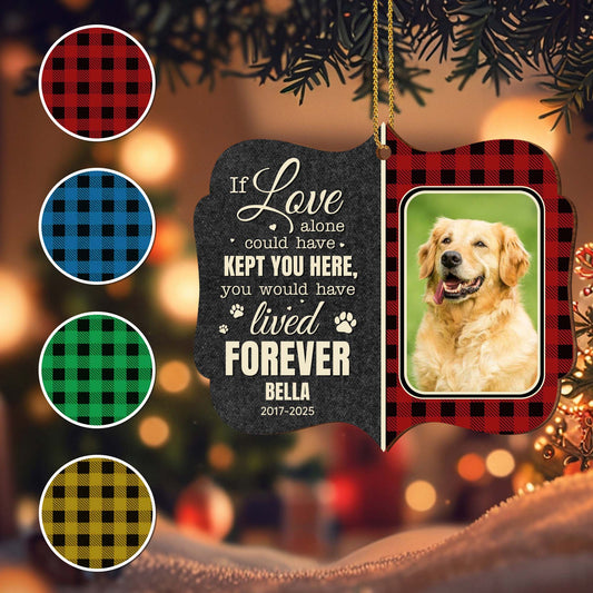 If Love Alone Could Have Kept You Here, Paws