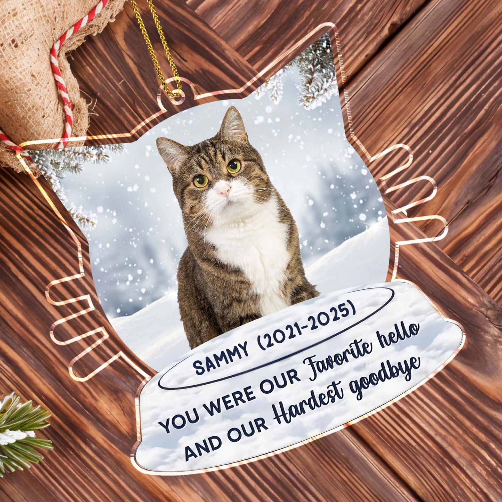 Favorite Hello And Hardest Goodbye Cat Ornament