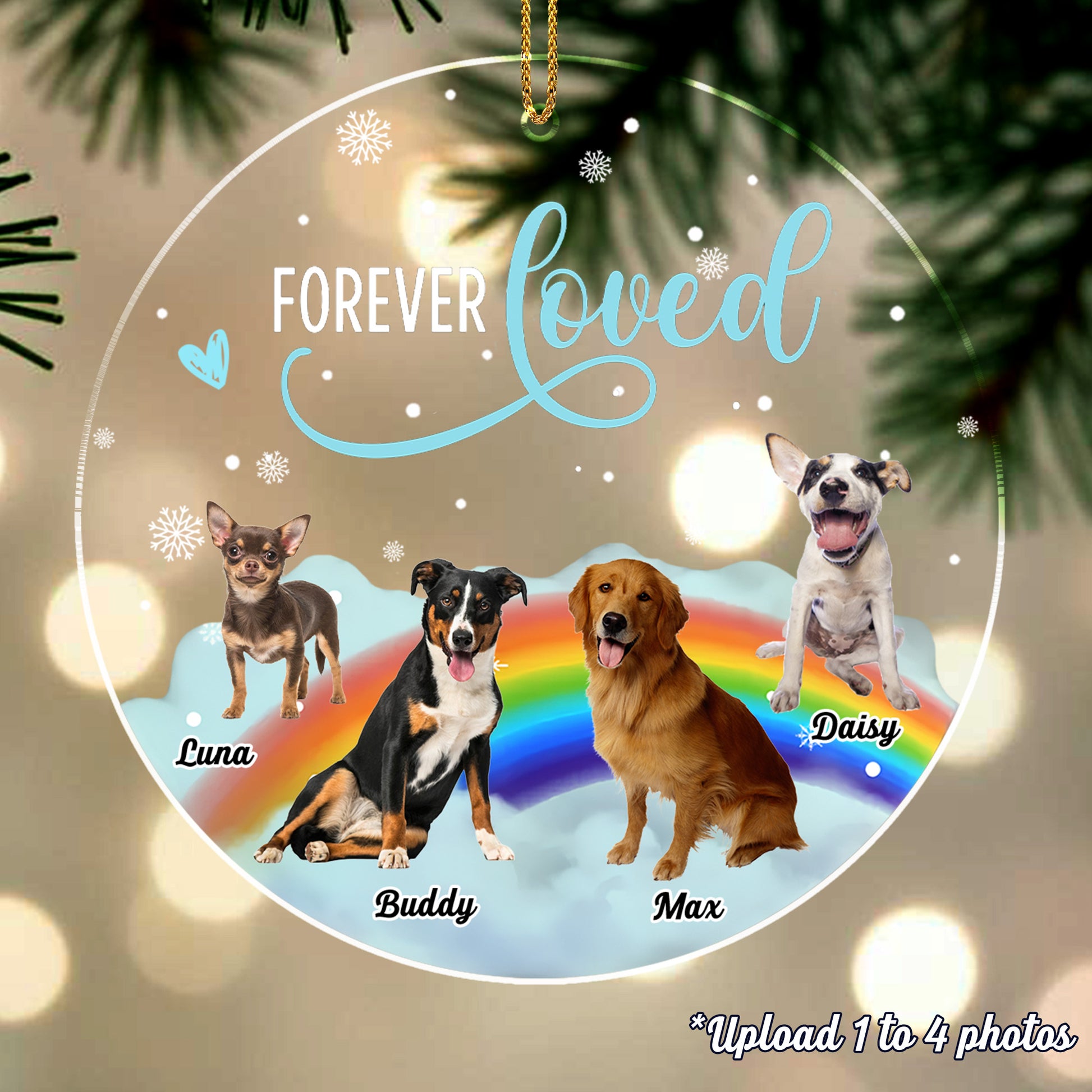 Forever Loved, Dogs On A Rainbow