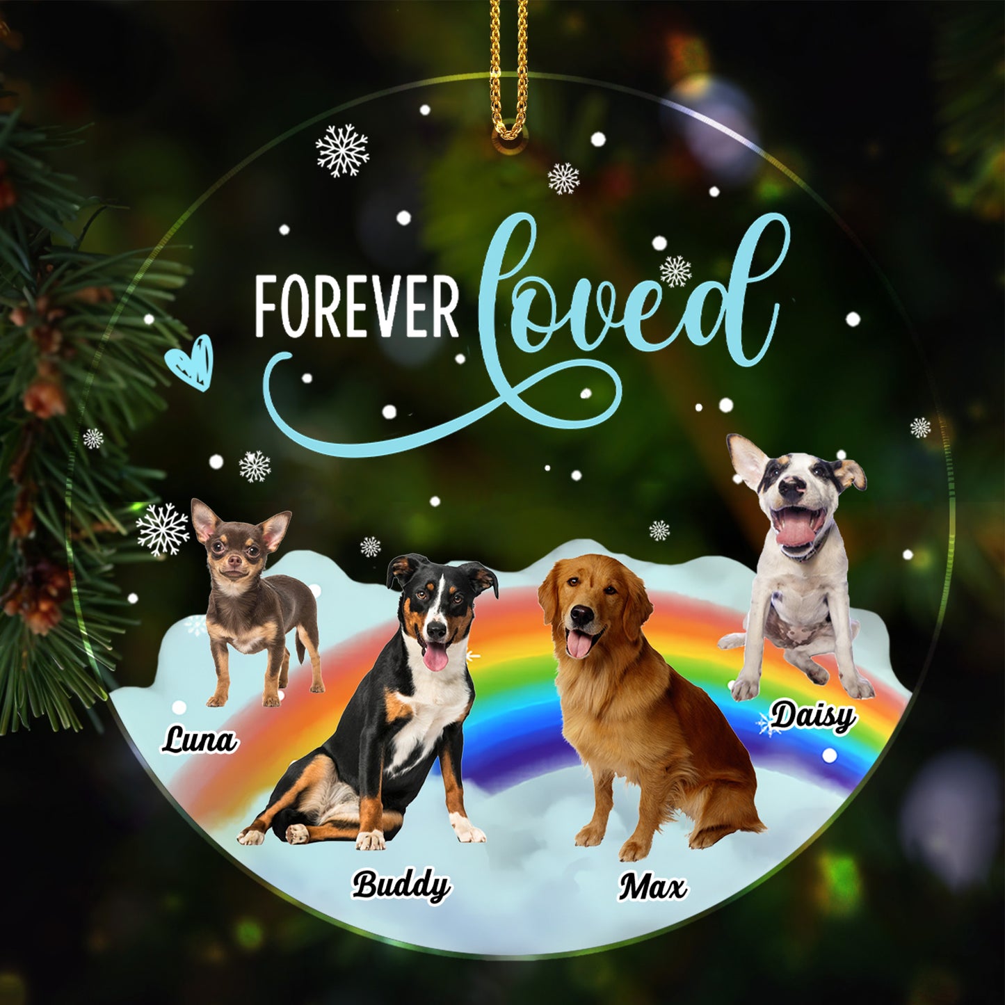 Forever Loved, Dogs On A Rainbow