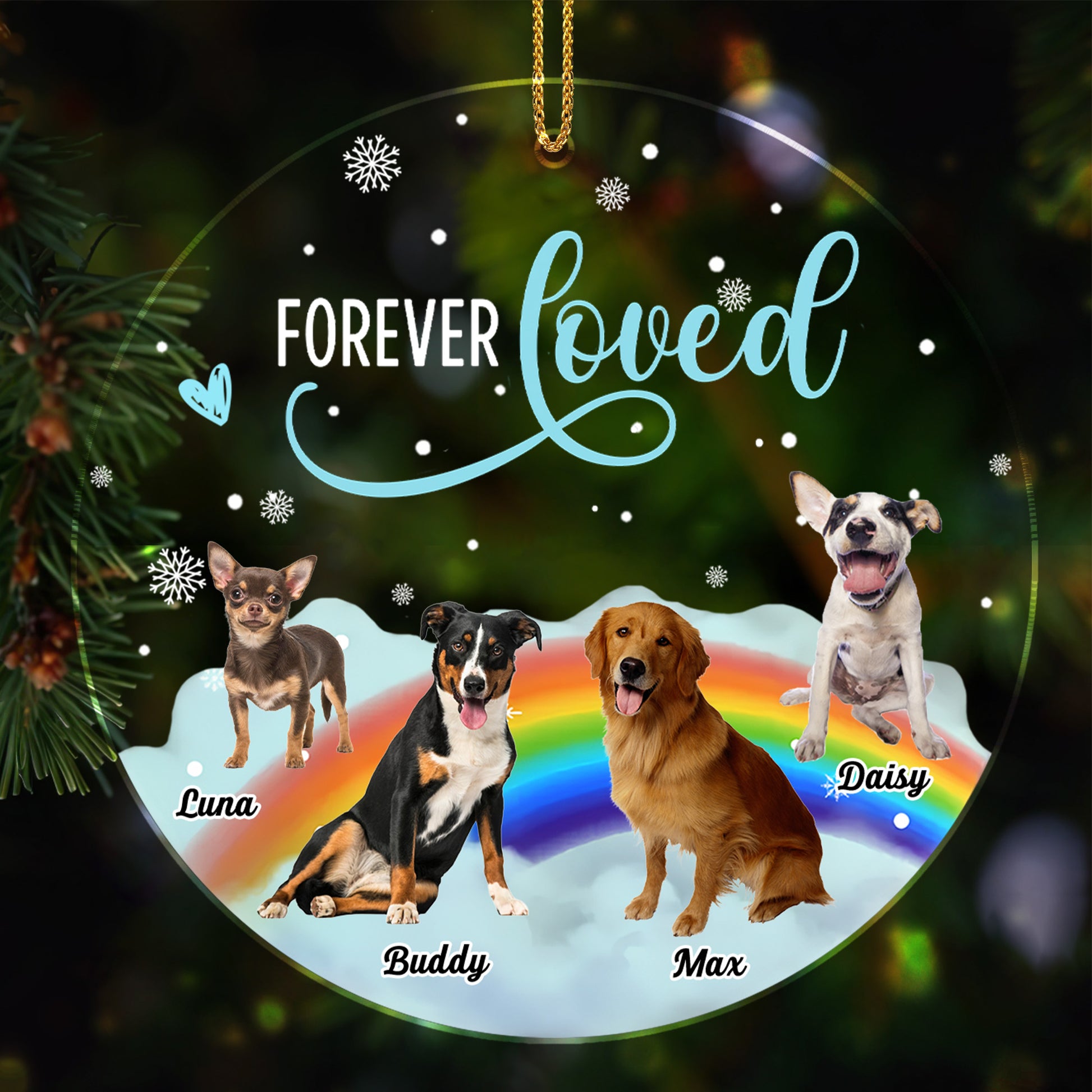 Forever Loved, Dogs On A Rainbow