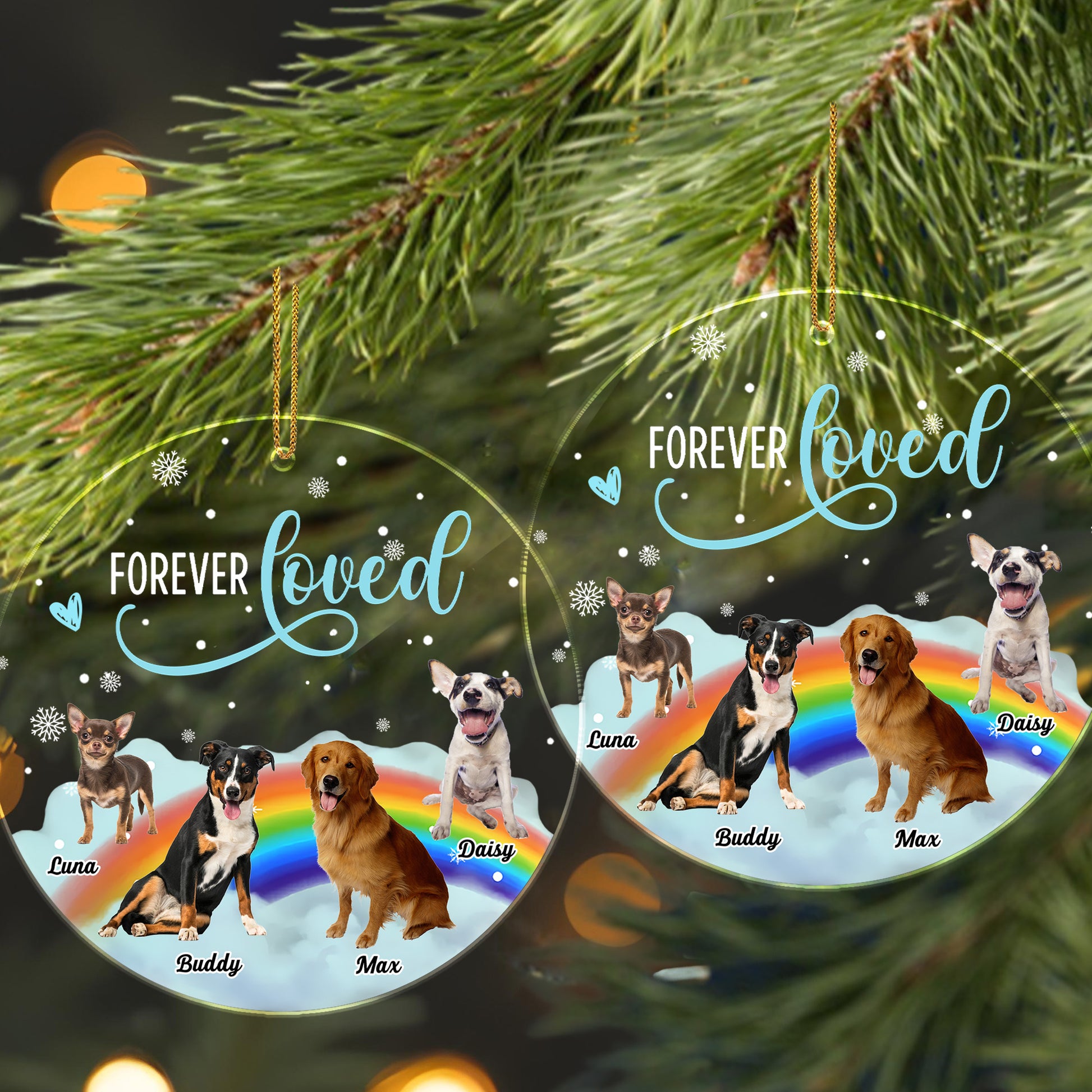 Forever Loved, Dogs On A Rainbow