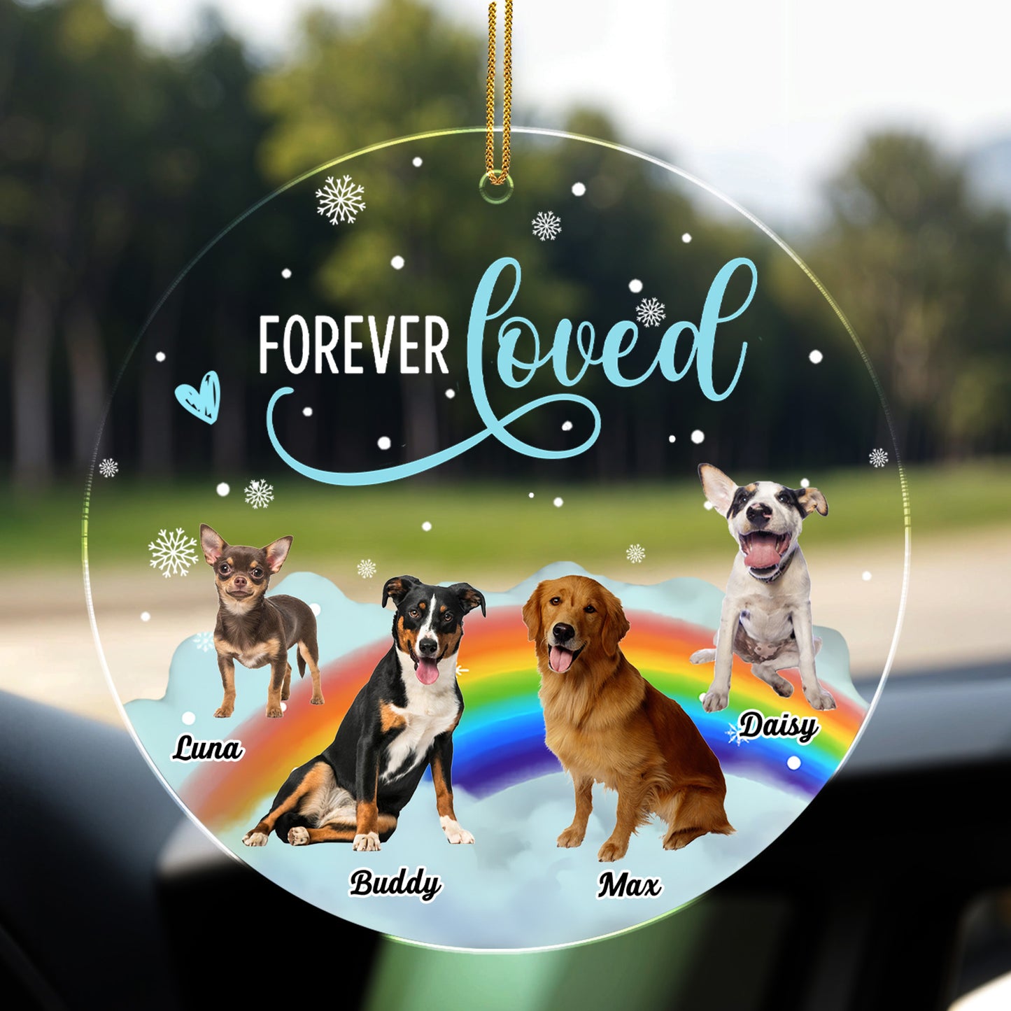 Forever Loved, Dogs On A Rainbow