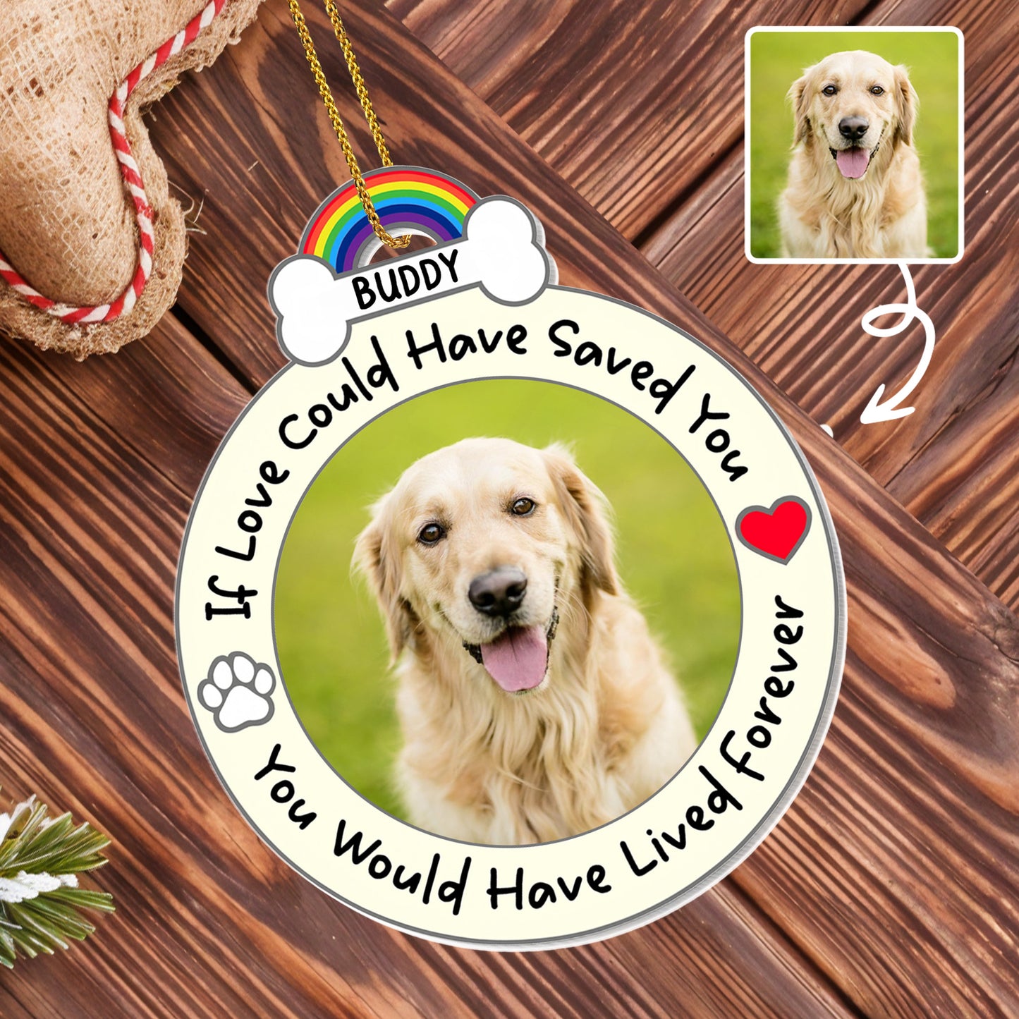 If Love Could Have Saved You, Memorial Gift For Pet Lovers