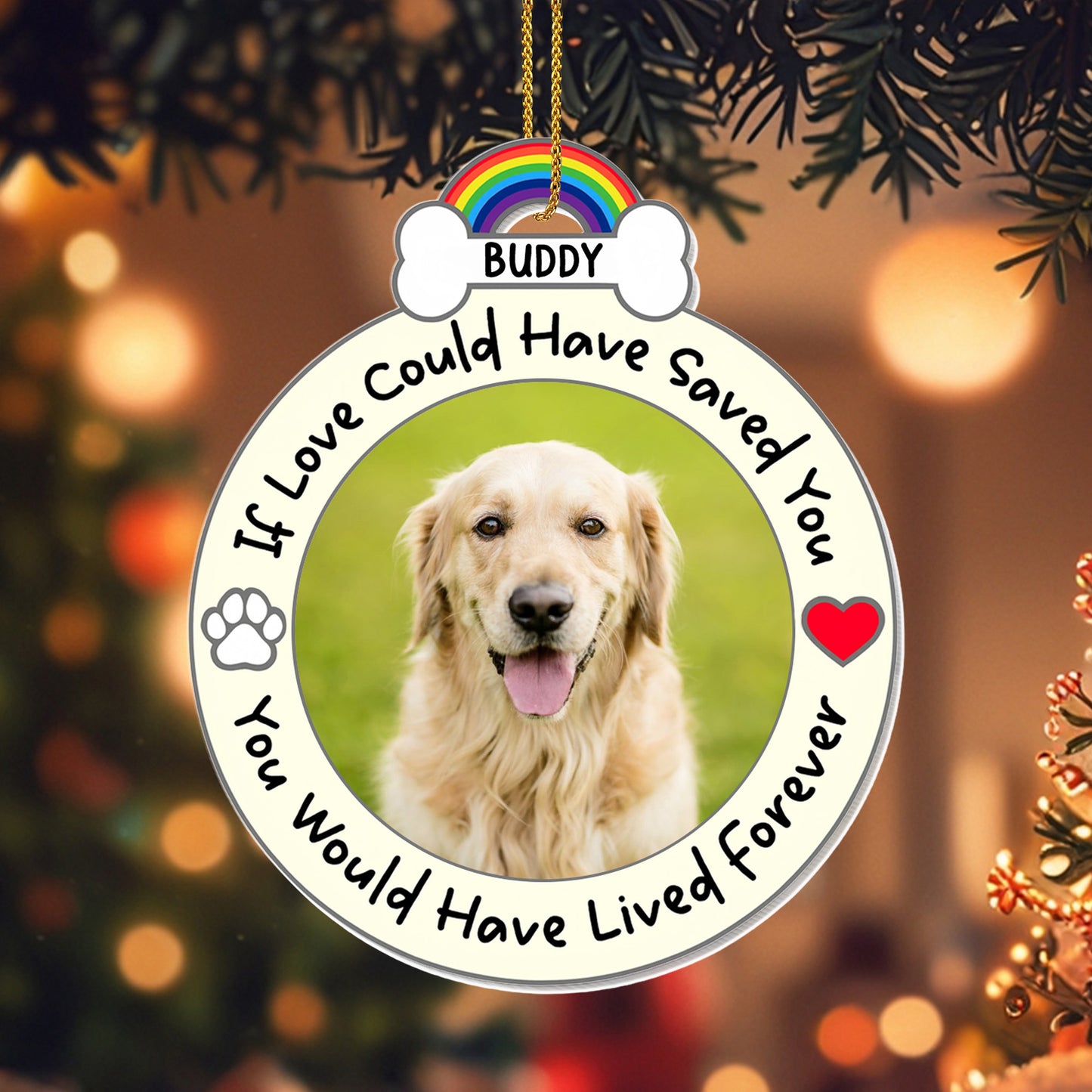 If Love Could Have Saved You, Memorial Gift For Pet Lovers
