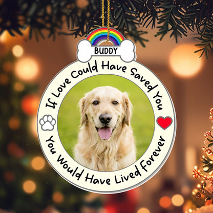 If Love Could Have Saved You, Memorial Gift For Pet Lovers