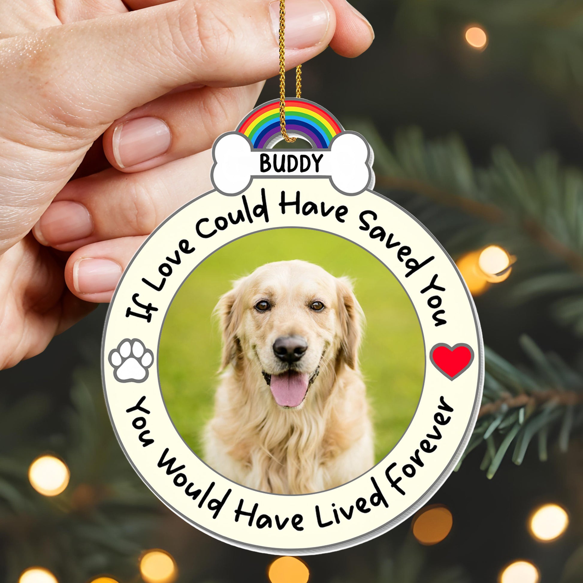 If Love Could Have Saved You, Memorial Gift For Pet Lovers