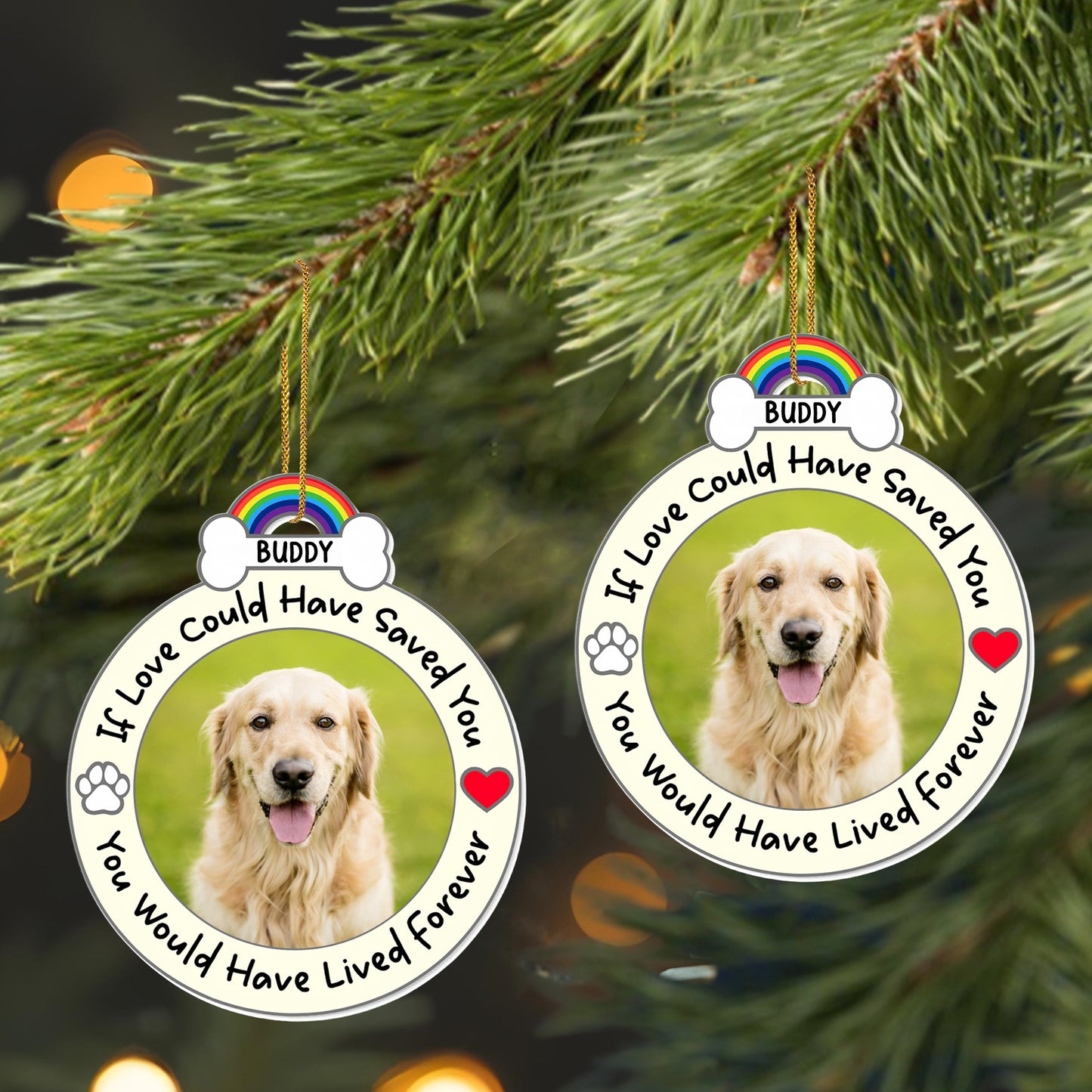 If Love Could Have Saved You, Memorial Gift For Pet Lovers