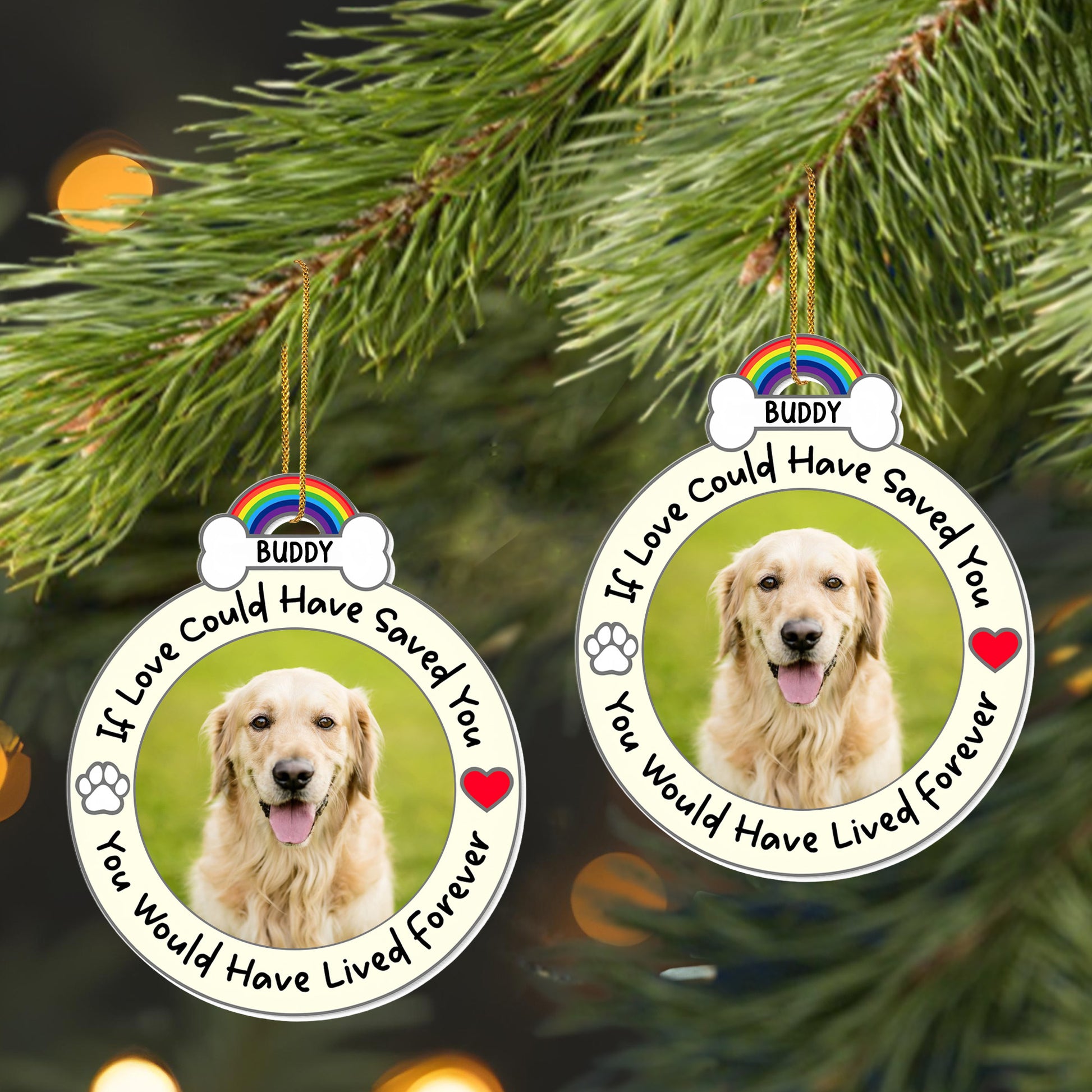 If Love Could Have Saved You, Memorial Gift For Pet Lovers