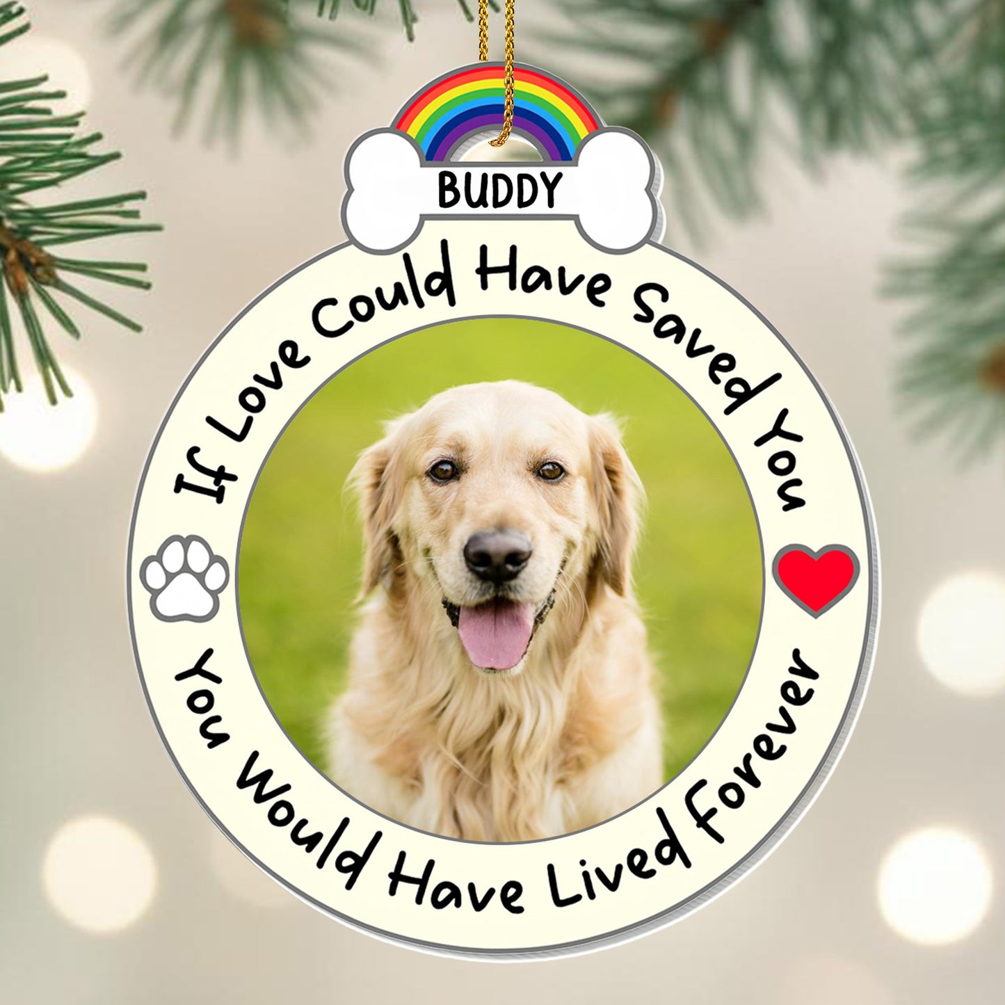 If Love Could Have Saved You, Memorial Gift For Pet Lovers