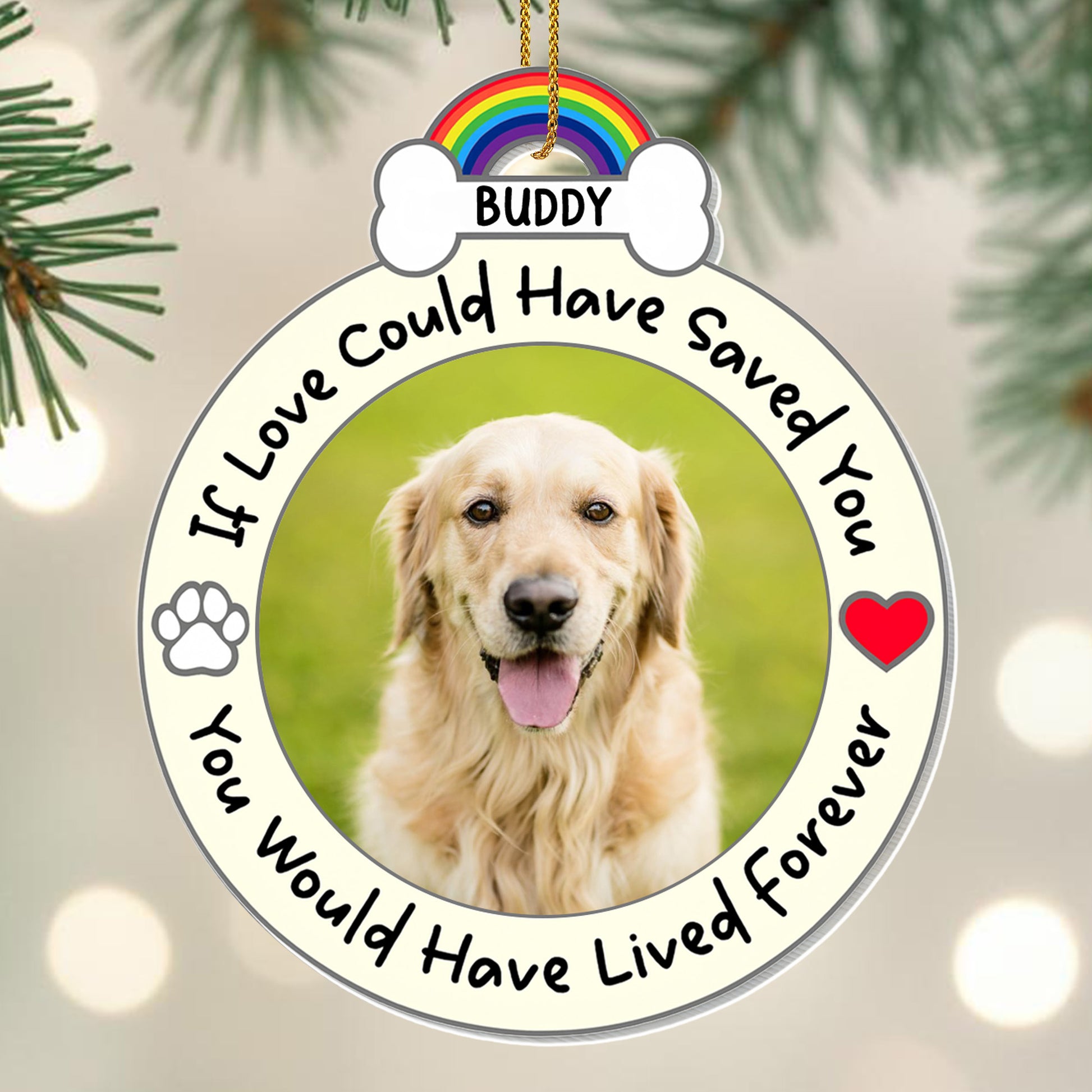 If Love Could Have Saved You, Memorial Gift For Pet Lovers