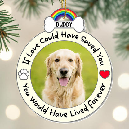 If Love Could Have Saved You, Memorial Gift For Pet Lovers