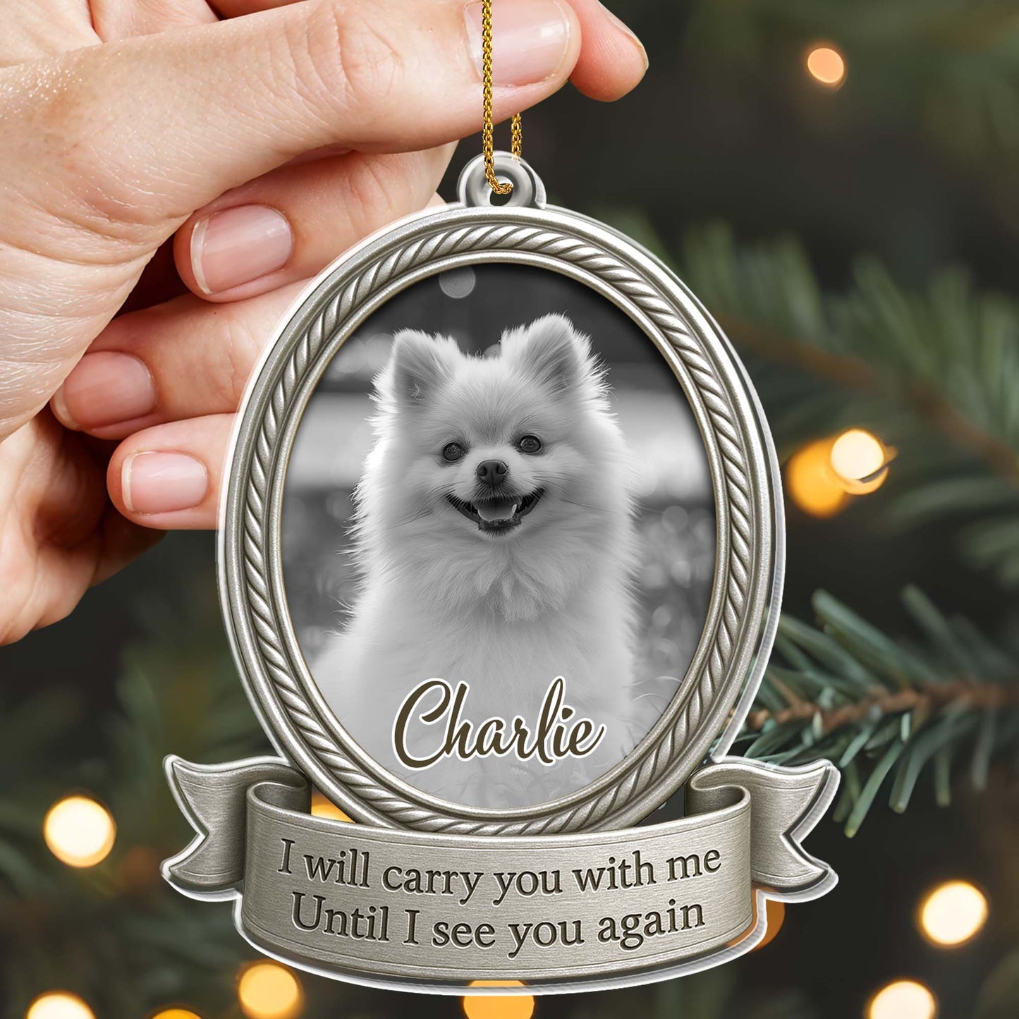 I Will Carry You With Me Until I See You Again, Dog Memorial