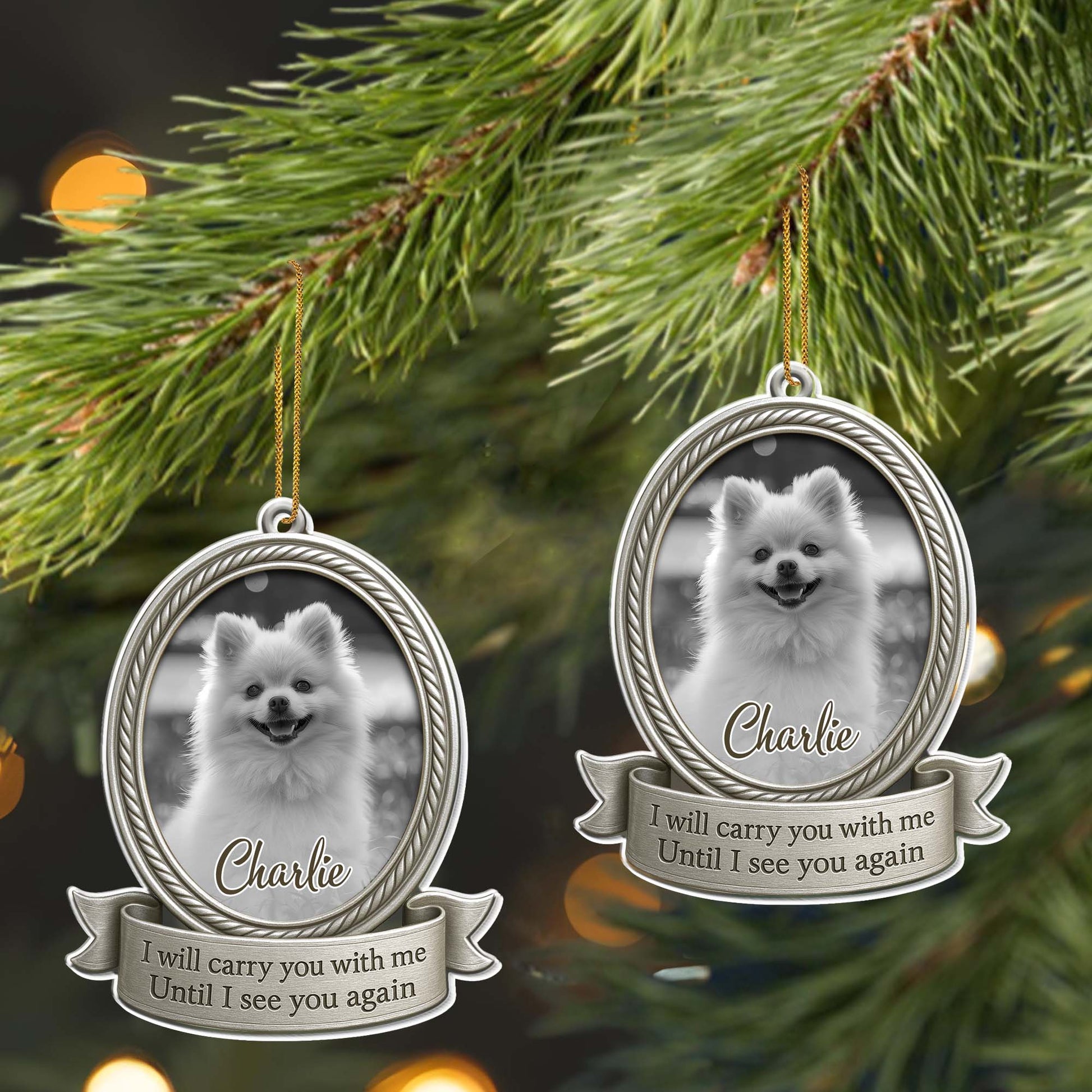 I Will Carry You With Me Until I See You Again, Dog Memorial