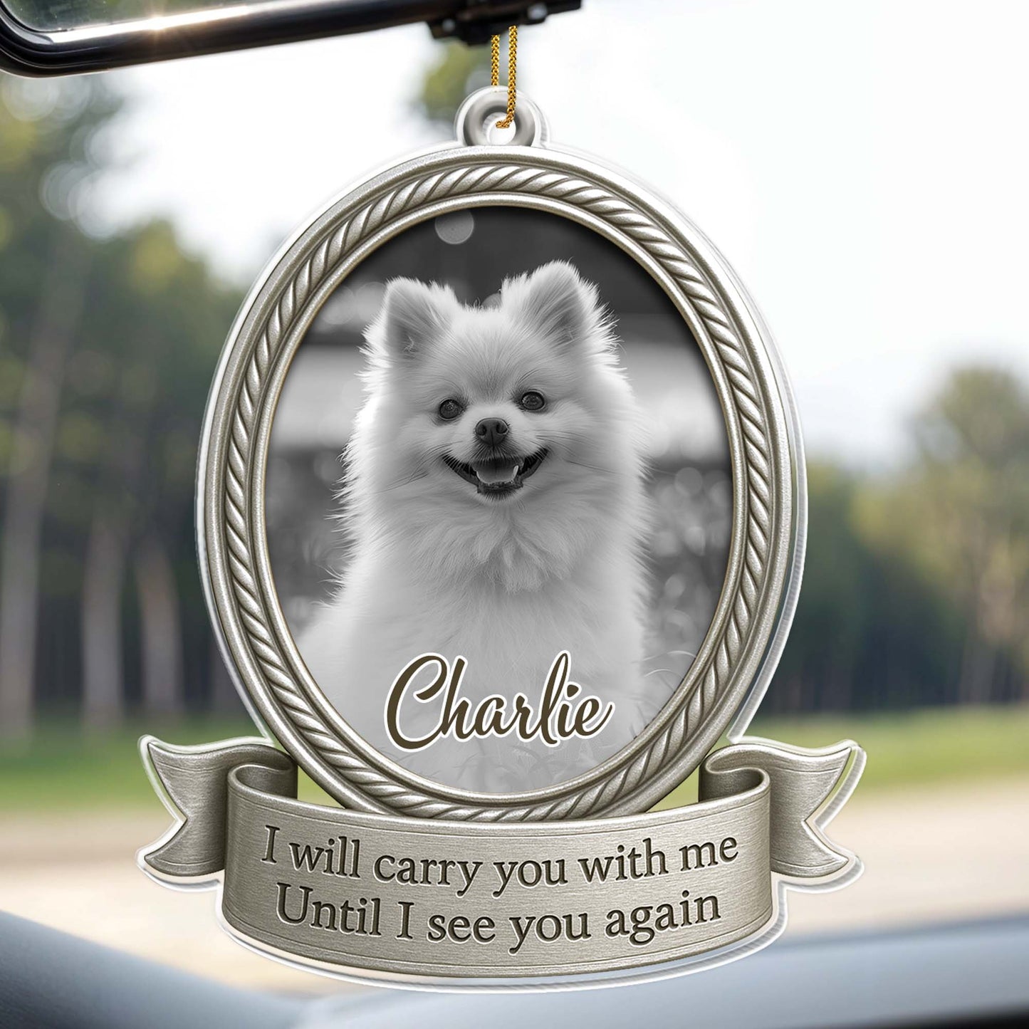 I Will Carry You With Me Until I See You Again, Dog Memorial