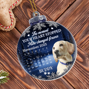 The Moment Your Heart Stopped, Heart and Winter Scene Ornament - Personalized Custom Acrylic Ornament, Christmas Gift - PME145_ACO
